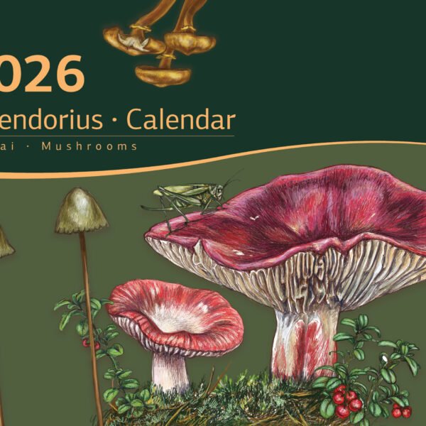Kalendorius "Grybai"