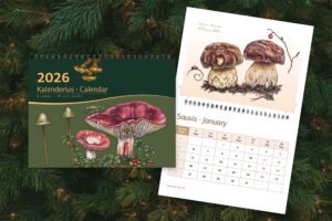 Kalendorius "Grybai"