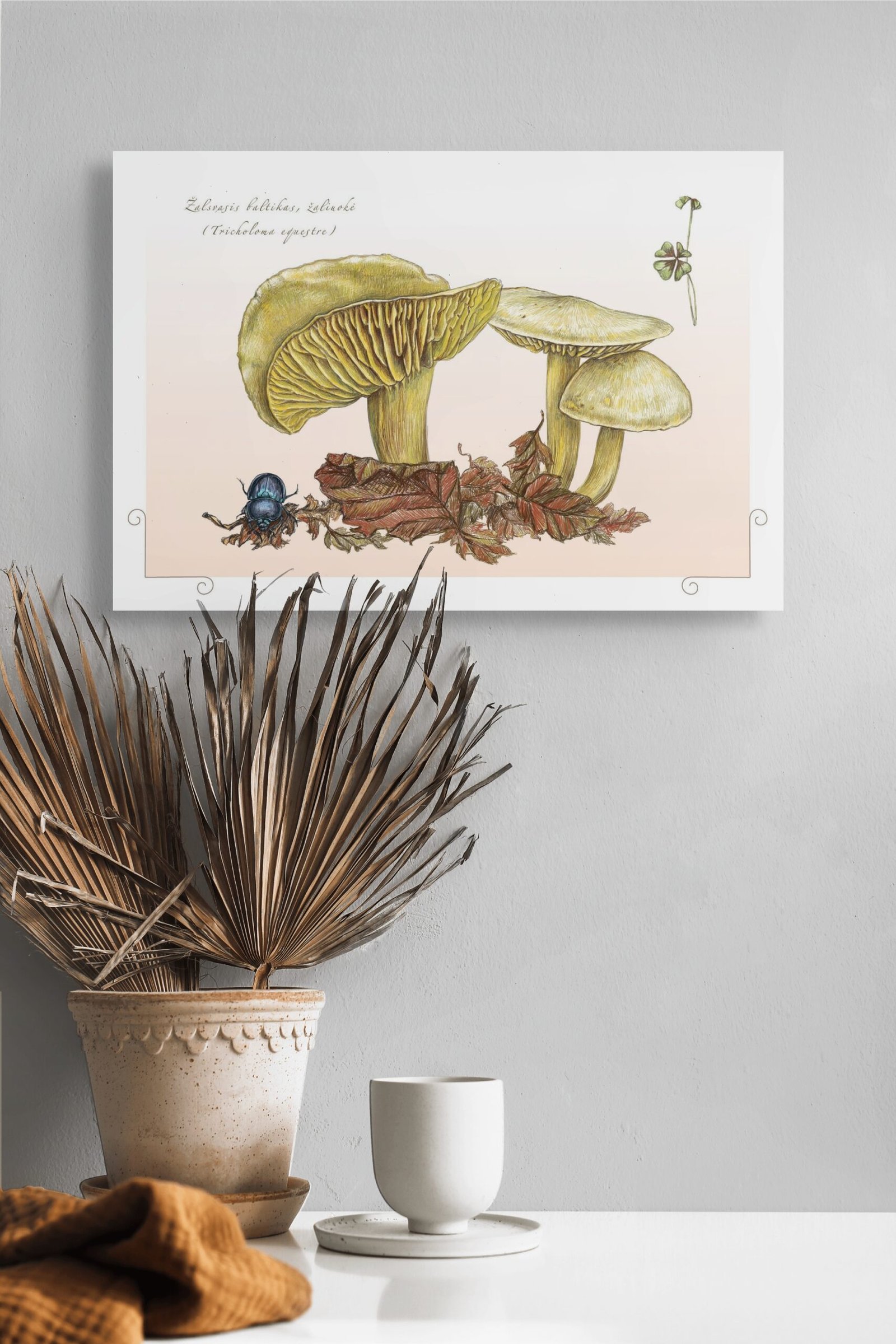 Žaliuokė - Image 3