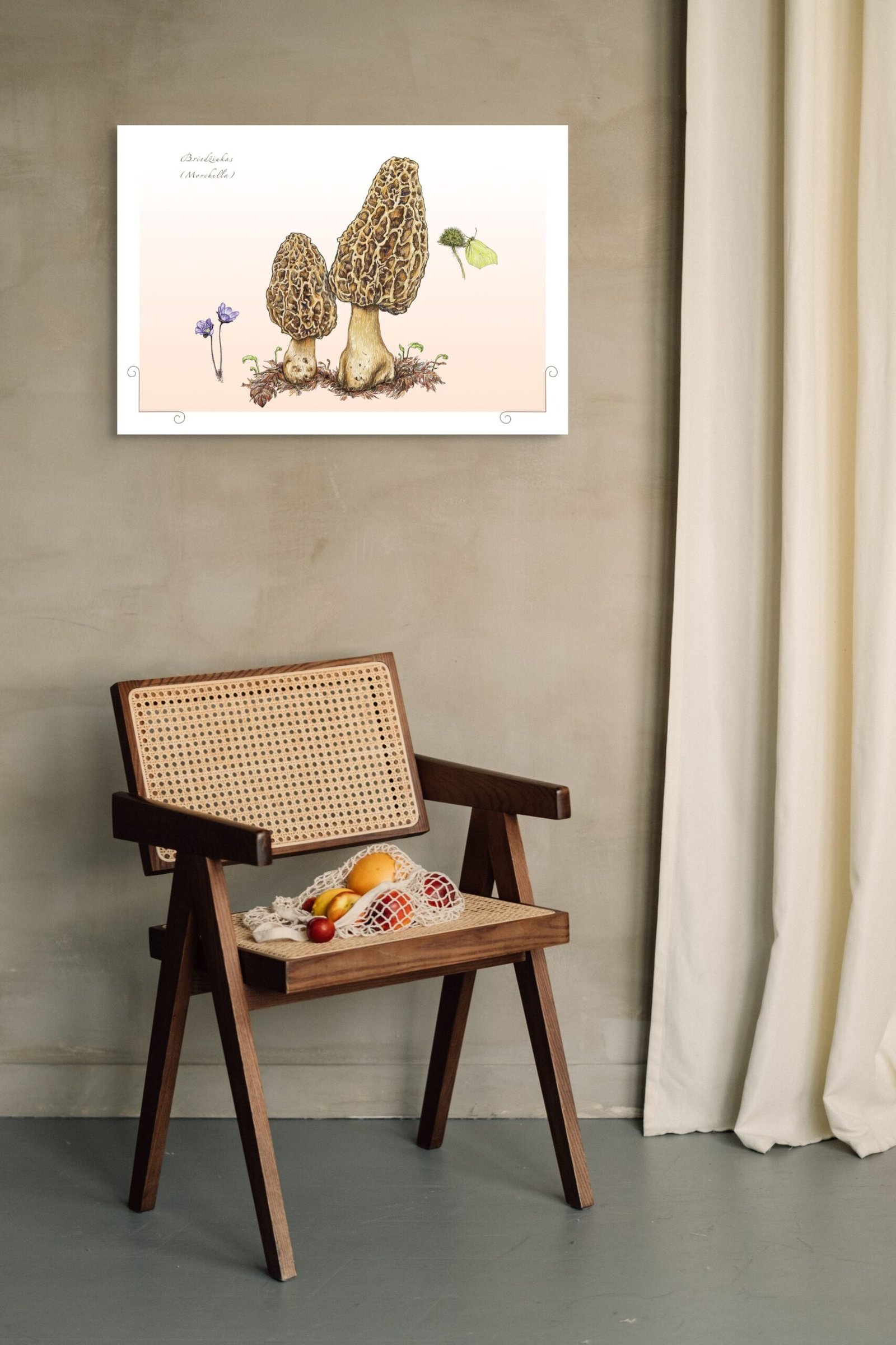 Briedžiukas - Image 3