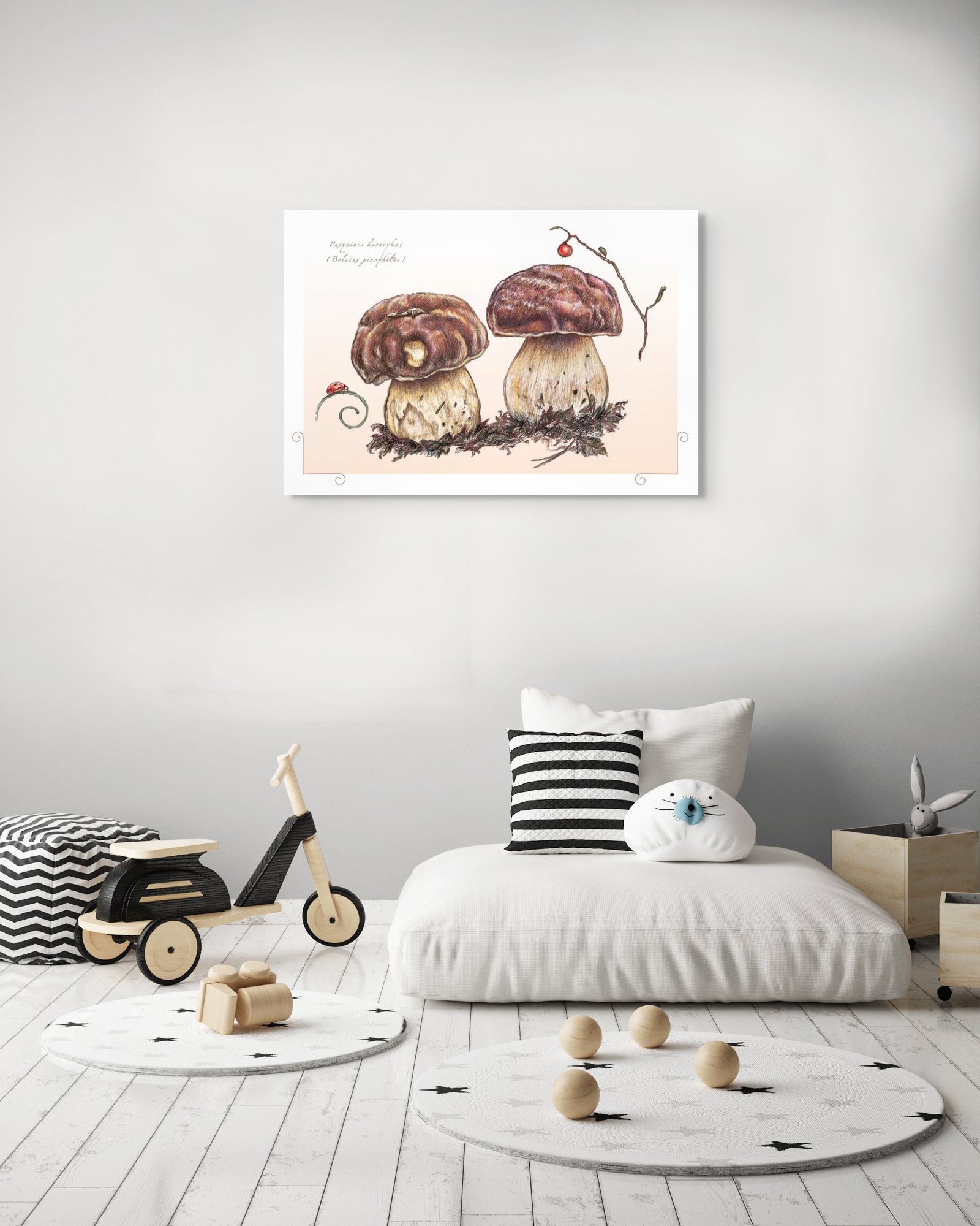 Pušyninis baravykas